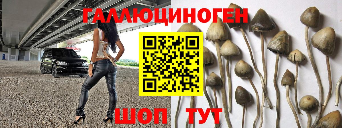 Галлюциногенные грибы MAGIC MUSHROOMS  Вход с VPN  закладка  Набережные Челны 
